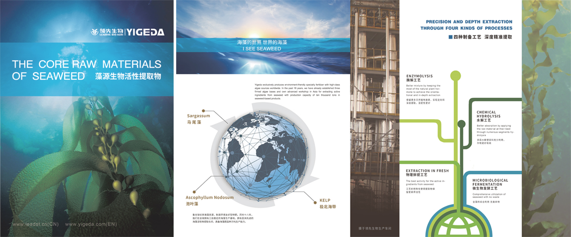 威廉希尔生物海藻精加工新生产线项目动工
