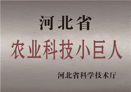 威廉希尔被评为河北省农业科技小巨人