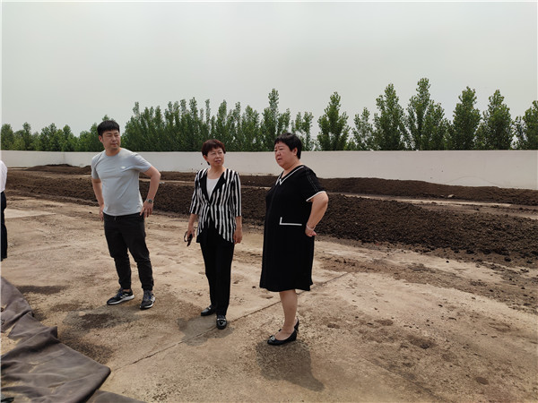 农业农村部微生物肥料和食用菌菌种质量监督检验测试中心李俊主任、姜昕主任来威廉希尔公司调研、指导工作