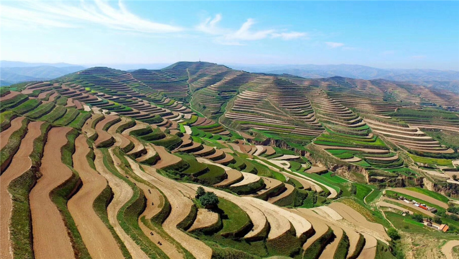 威廉希尔生物｜国家重点研发计划“黄土高原旱作适水改土与产能提升技术模式及应用”项目启动