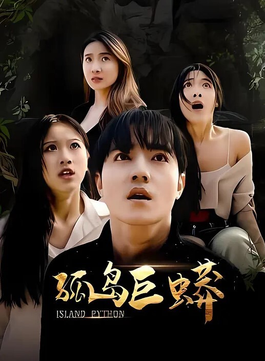 多乙寂寞空姐圣诞液 - 免费国产海报