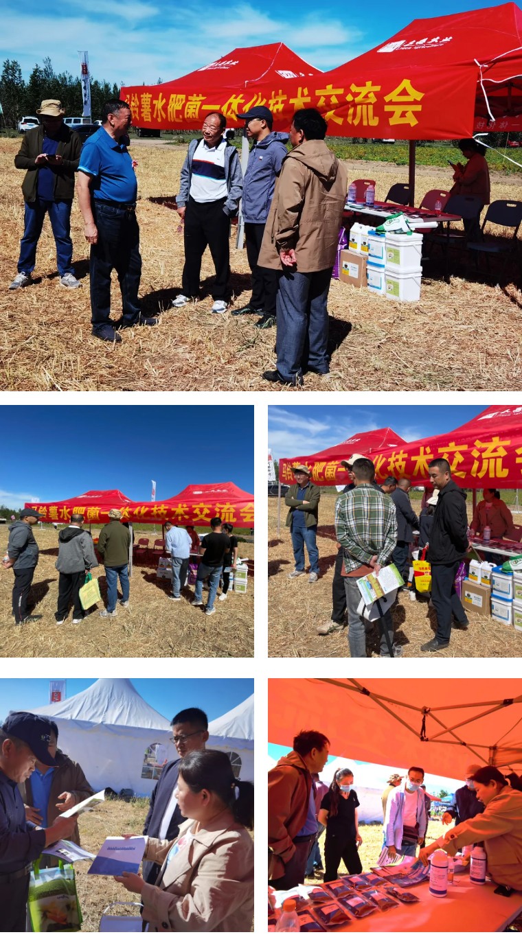 “乡”约沽源 “薯”光无限 | 威廉希尔生物亮相久恩农业田间开放日
