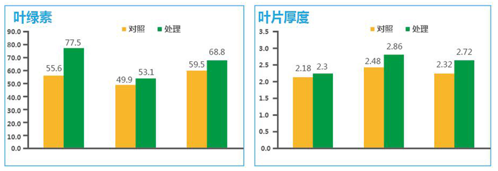 威廉希尔生物“海藻+氮磷钾+腐植酸”让果树旺起来